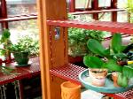 Aluminum grated shelving in green house adujstable